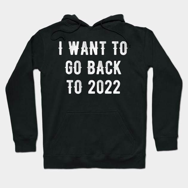 I Want To Go Back To 2022 Hoodie by Traditional-pct